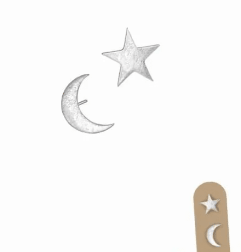 Moon and Star Studs on Lollipop Backing Card - Silver - LF810 Earrings Hot Tomato