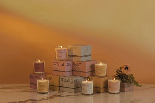 Paddywax Mood Candle - Lush Palms "Tranquil" Candles, Holders & Lanterns Designworks